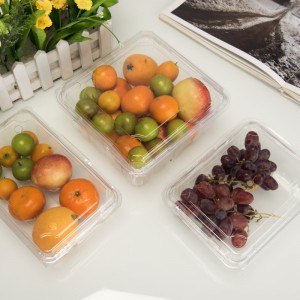 Suur läbipaistvus keskkonnasõbralik ühekordselt kasutatav plastne puuviljakonteiner